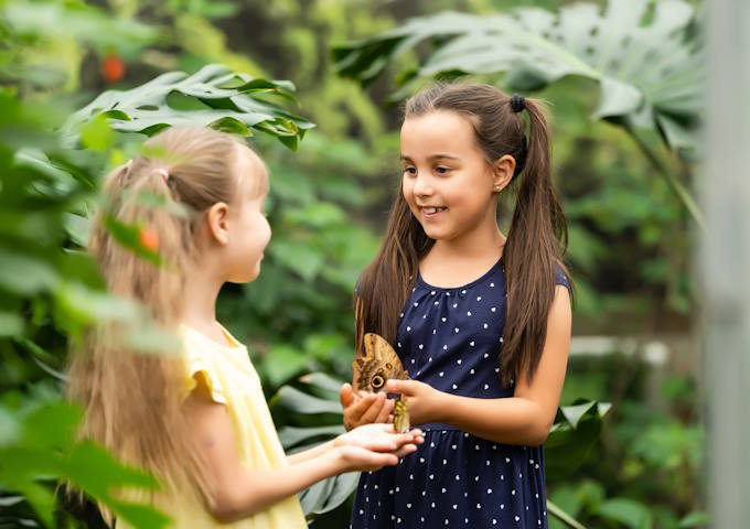 media.gallery territorio Casa delle Farfalle